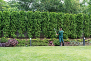Complete Commercial Landscape Services for Design Maintenance and Care